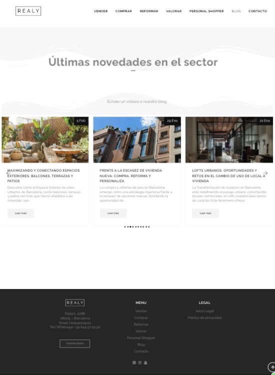 Diseño web profesional - blog real state