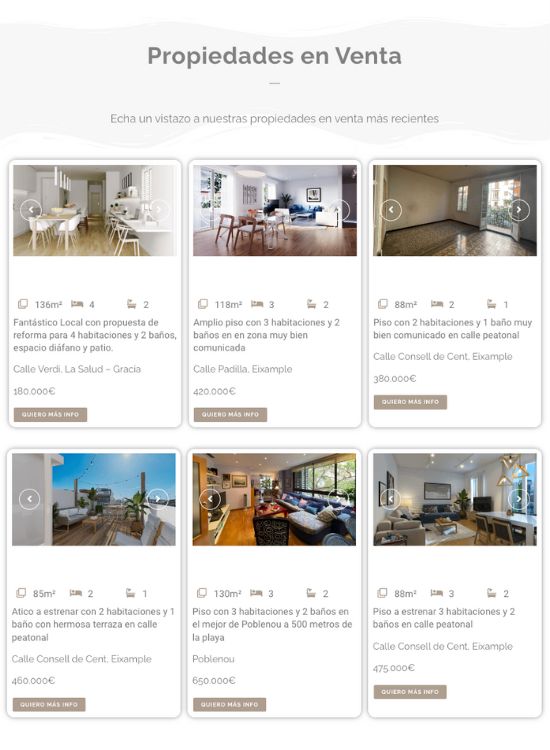 Web design profesional - real estate